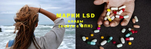 прущие грибы Березники