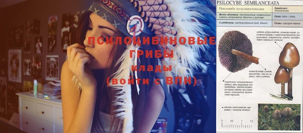 стафф Майский