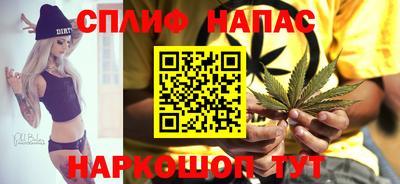 ешки Гай