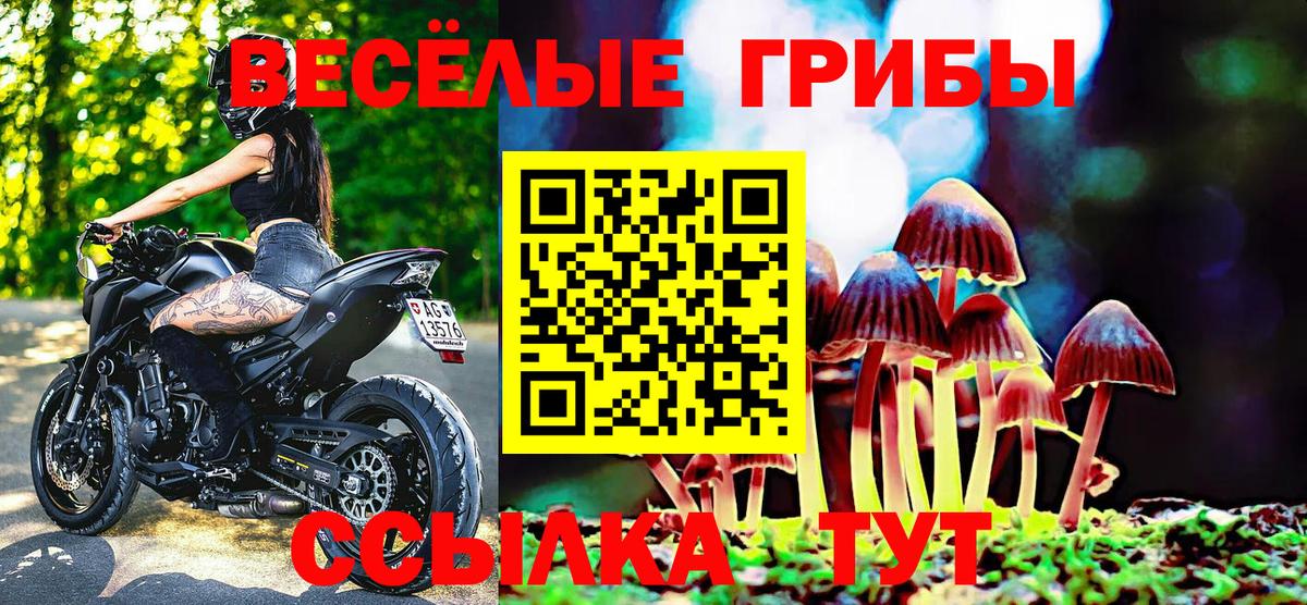 Шарыпово  Галлюциногенные грибы GOLDEN TEACHER  Галлюциногенные грибы мухоморы  Вход с VPN 