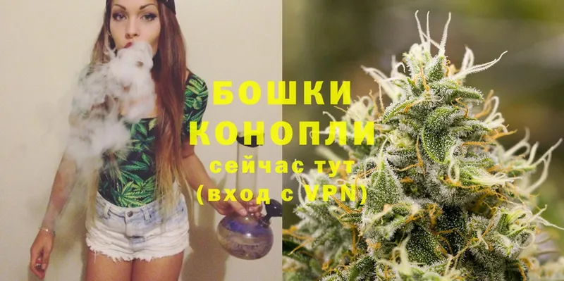 Бошки Шишки SATIVA & INDICA  Шарыпово 